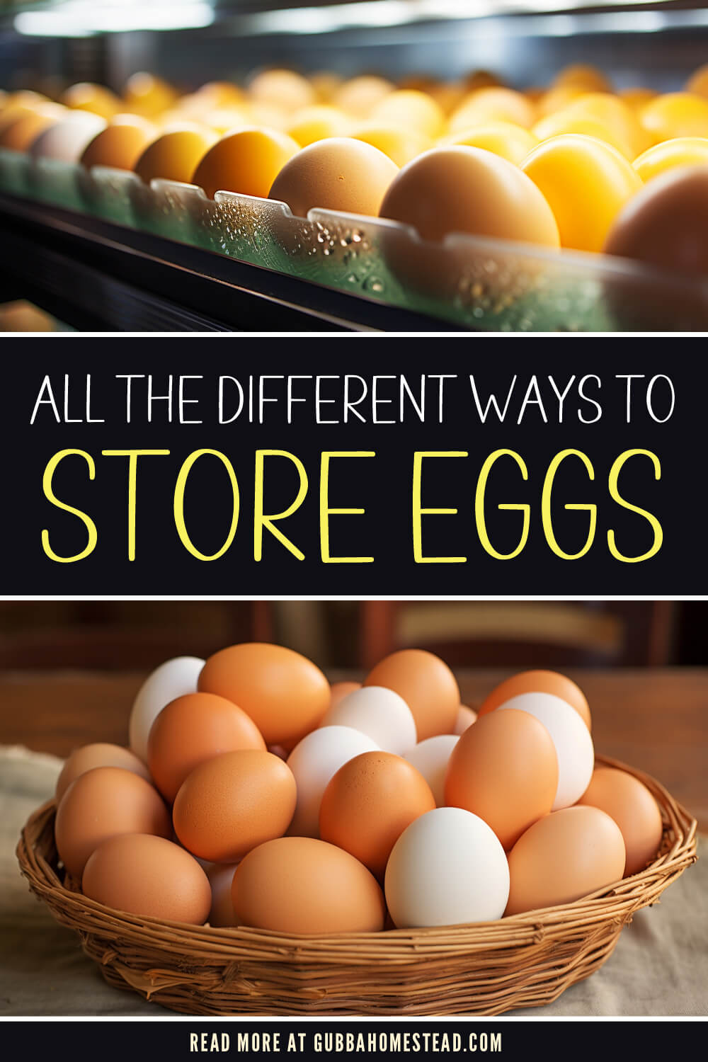 All The Different Ways To Store Eggs