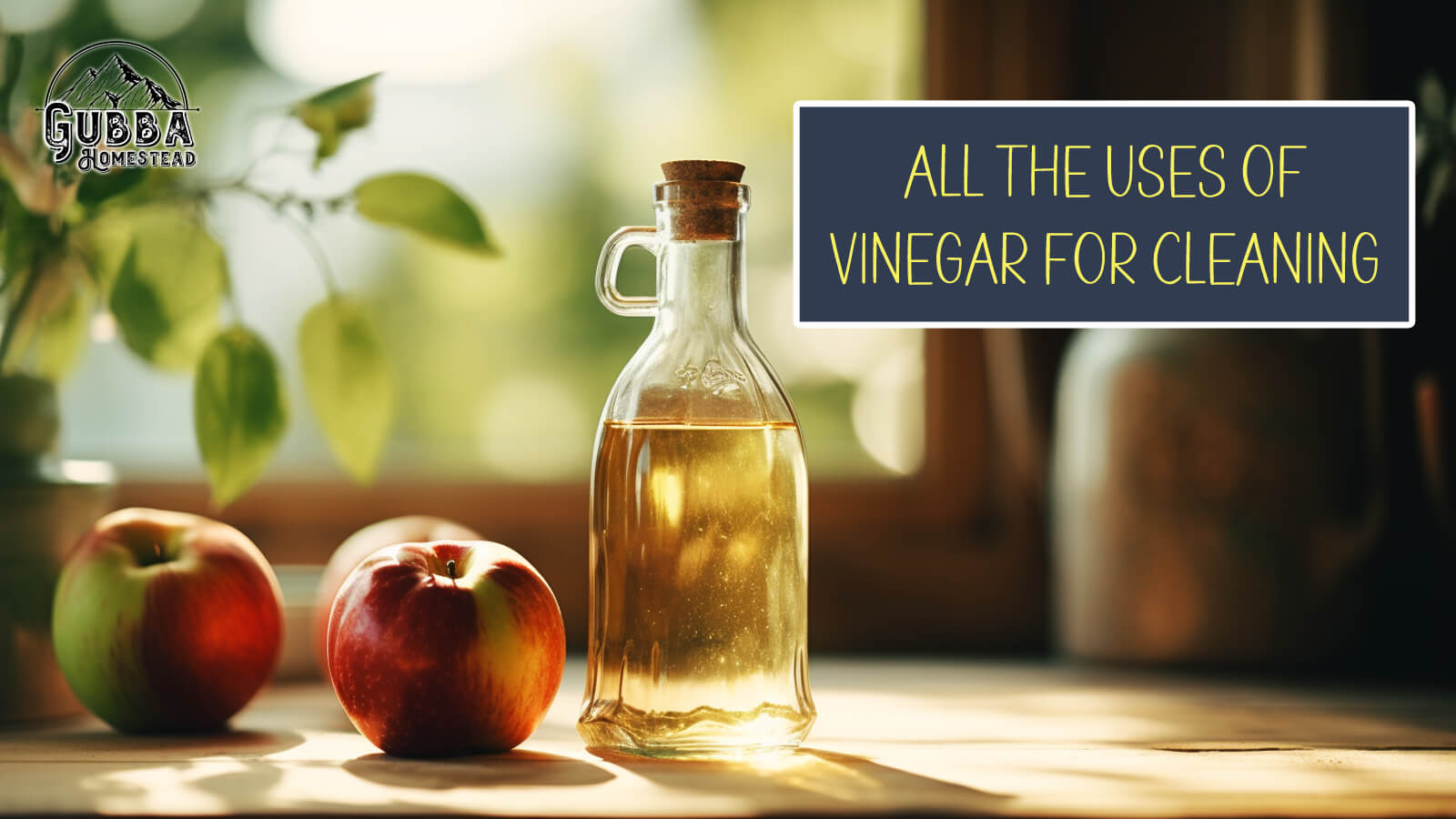 7 Best Uses of Vinegar for Cleaning Gubba Homestead