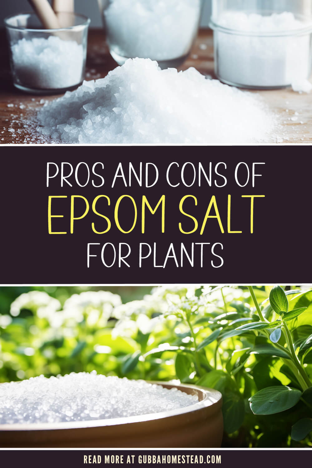 Pros and Cons of Epsom Salt For Plants