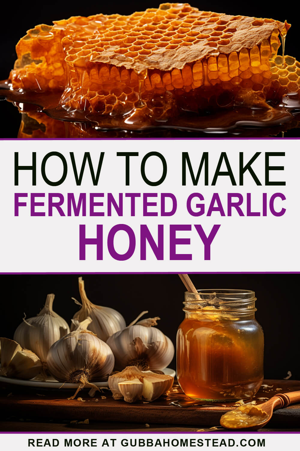 How To Make Fermented Garlic Honey