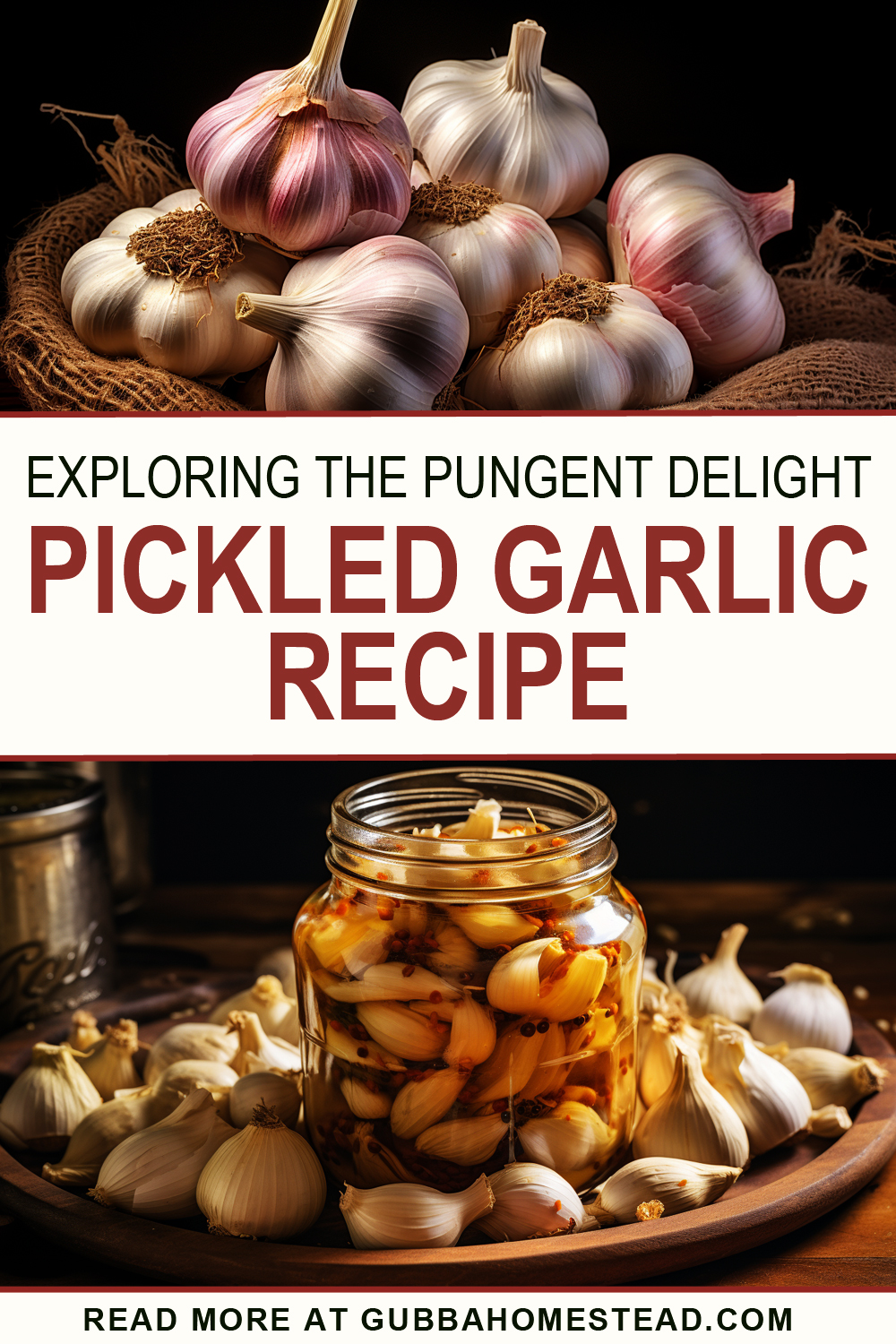 Exploring the Pungent Delight: Pickled Garlic and a Delectable Recipe
