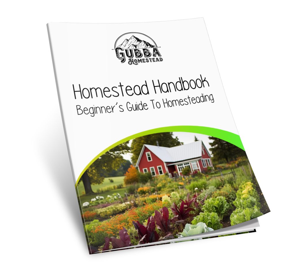 The Ultimate Guide To Homesteading On A Budget - Gubba Homestead