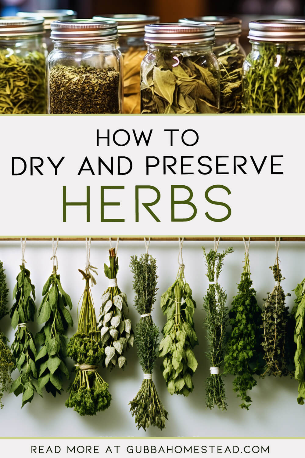 How to Dry and Preserve Herbs: A Comprehensive Guide