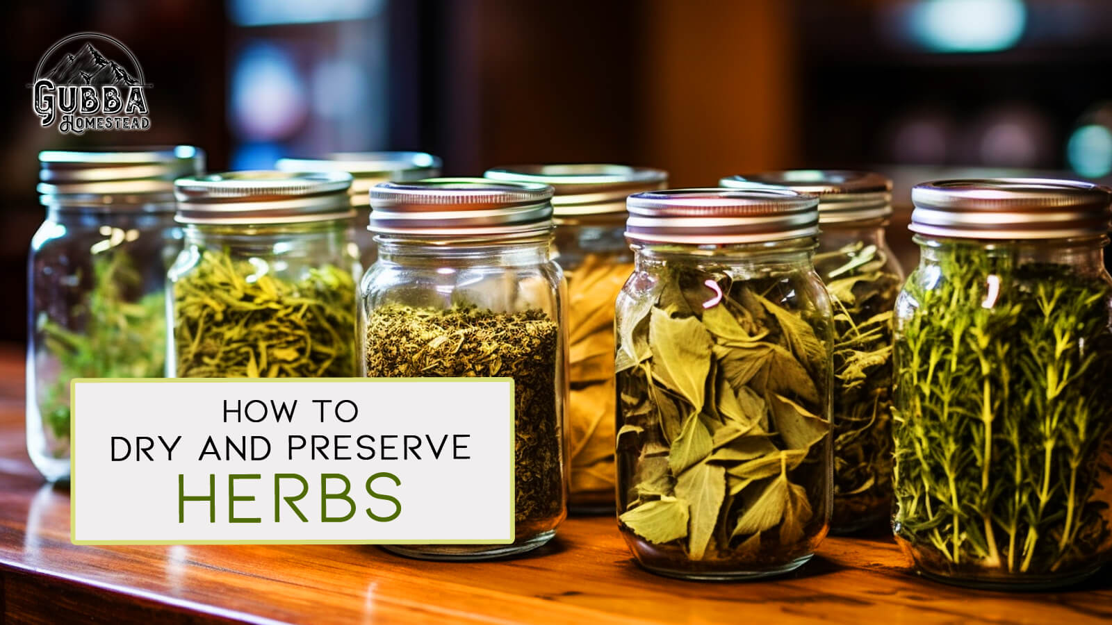 How to Dry and Preserve Herbs: A Comprehensive Guide - Gubba Homestead