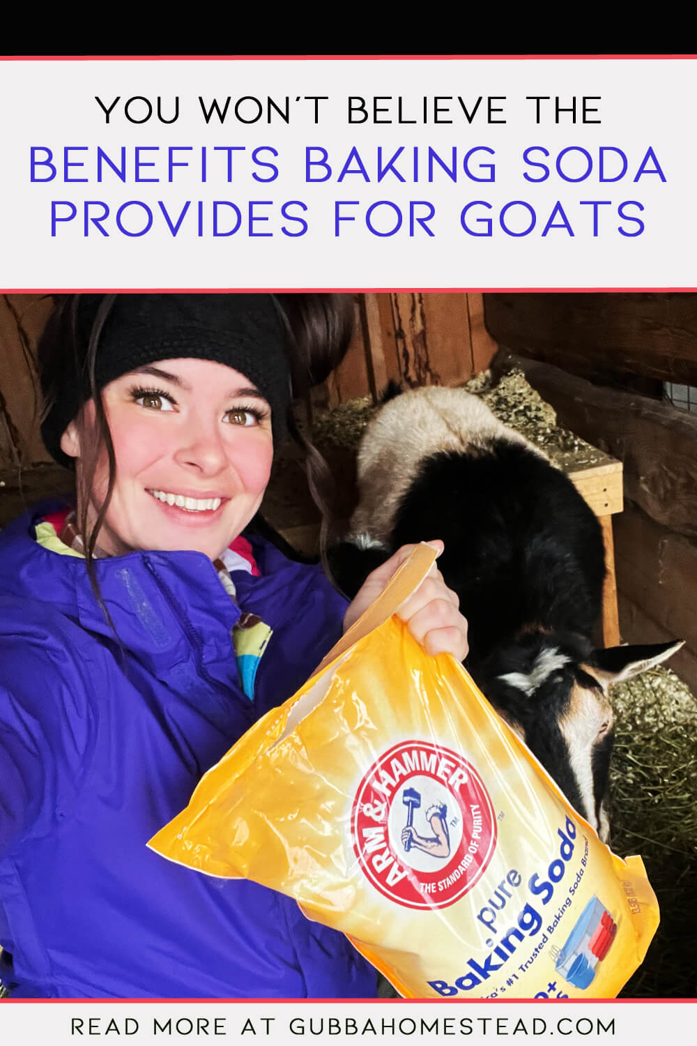 Benefits Baking Soda Provides Your Goats