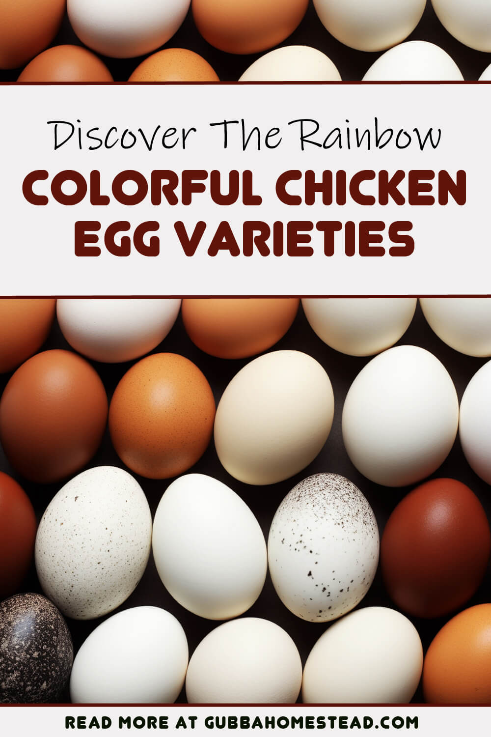 Discover the Rainbow: Colorful Chicken Egg Varieties