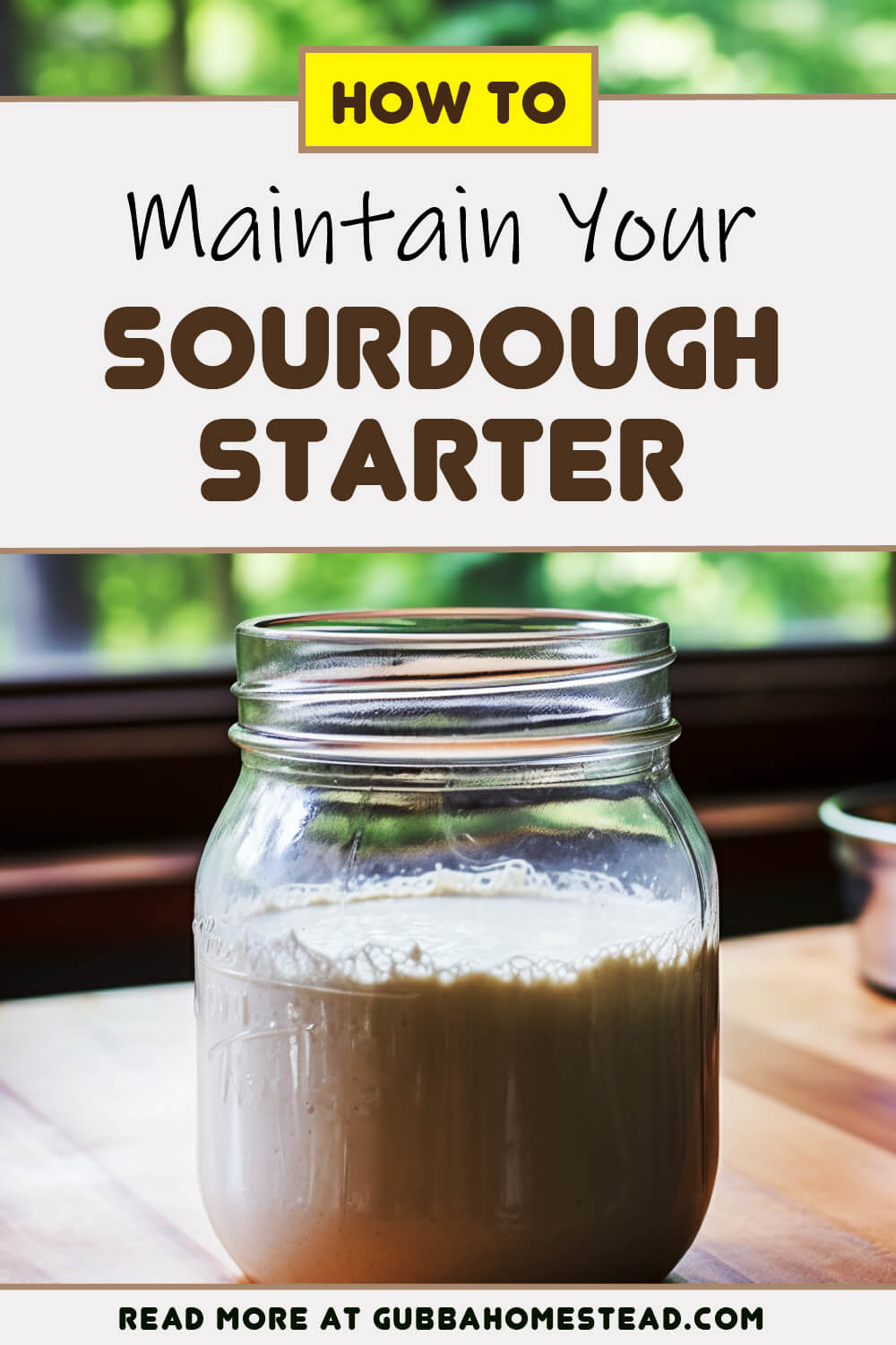 Here’s How to Maintain Your Sourdough Starter Like a Pro