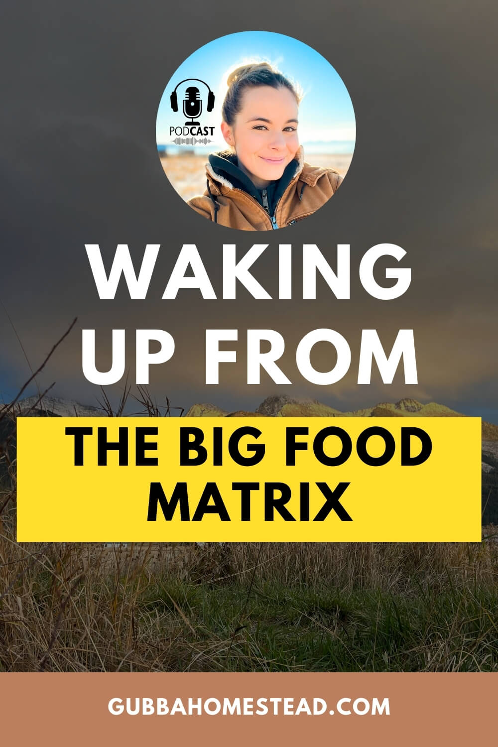 Waking up from the Big Food Matrix