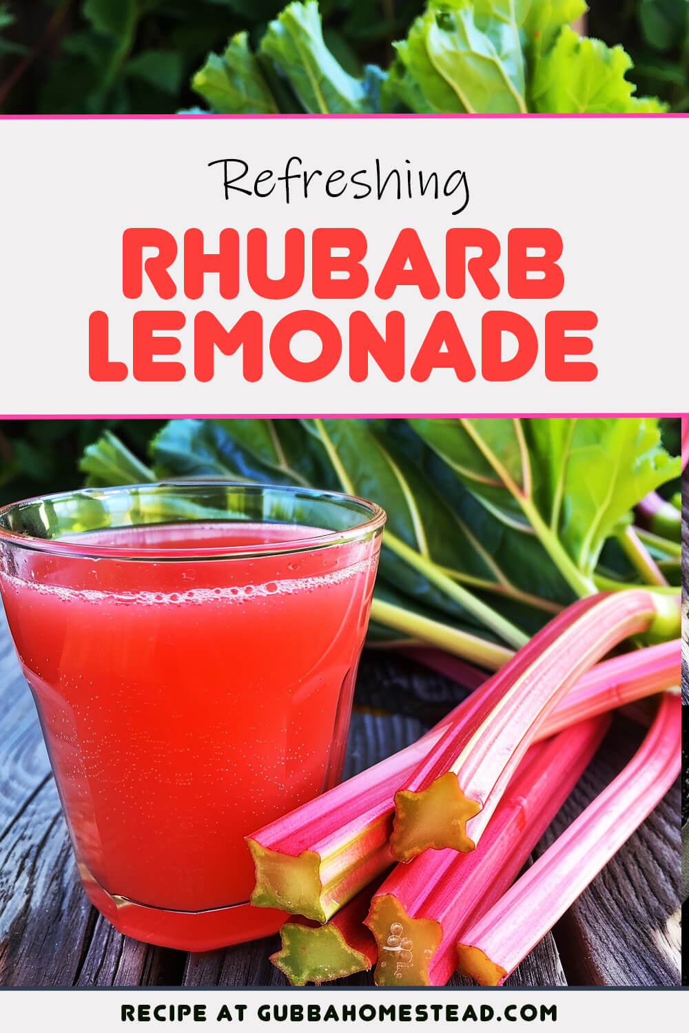 A Deliciously Refreshing Recipe for Rhubarb Lemonade