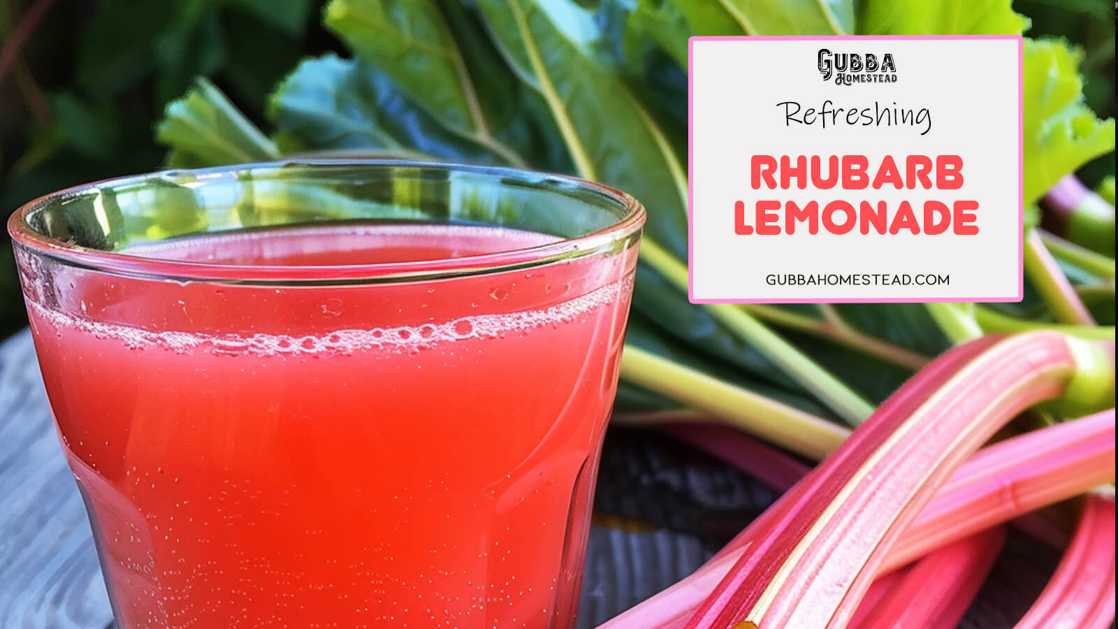 A Deliciously Refreshing Recipe for Rhubarb Lemonade Gubba Homestead