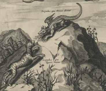 dragons with animals