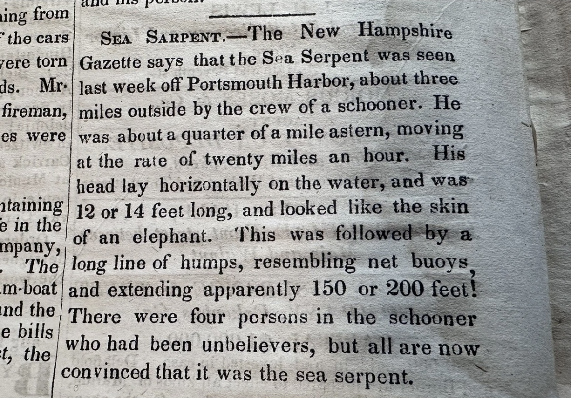 sea serpent article
